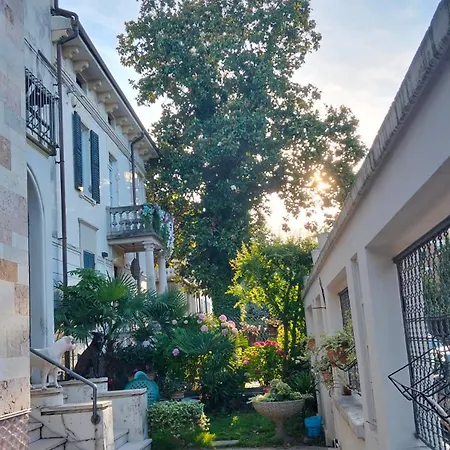 Mavipagi 9 Verona