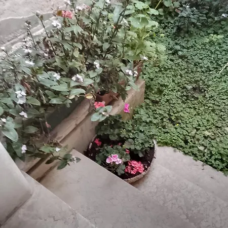 Panzió Mavipagi 9 *