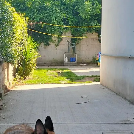 Mavipagi 9 Panzió *