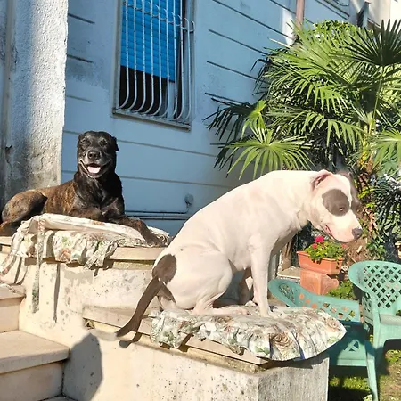 Bed & Breakfast Mavipagi 9